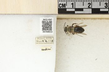 Media type: image;   Entomology 769013 Aspect: Labels
